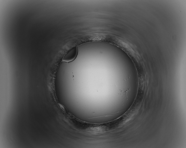 X0000097840307200803201523