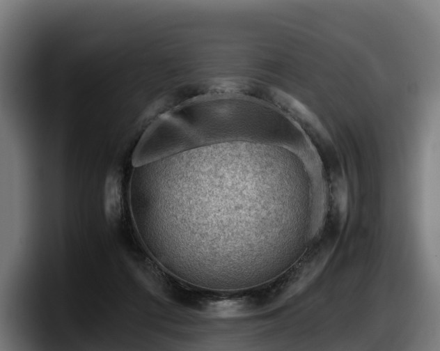 X0000097840312200803201523