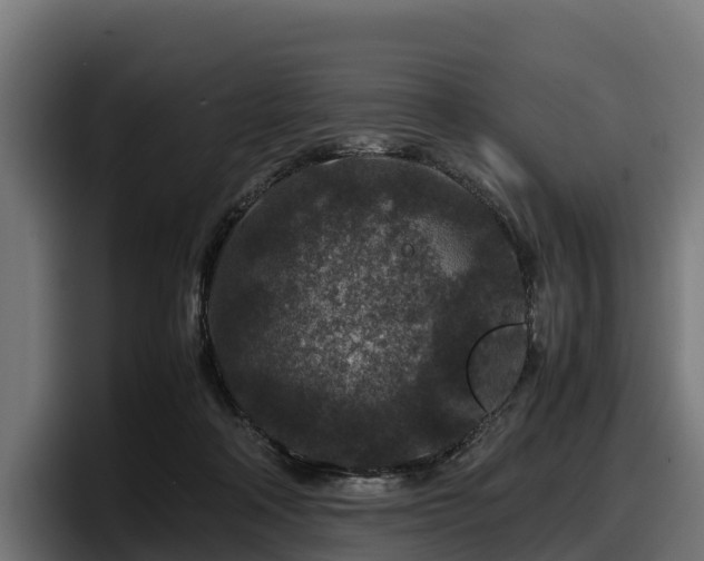 X0000097840314200803201523