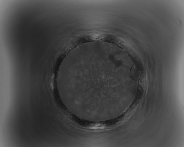 X0000097840319200803201523