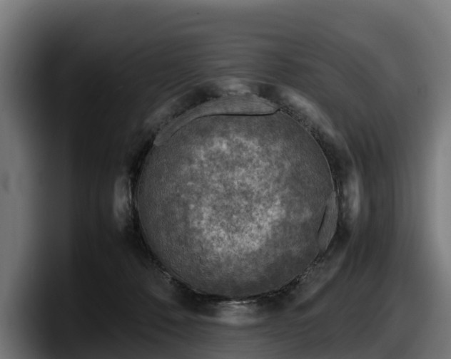 X0000097840320200803201523