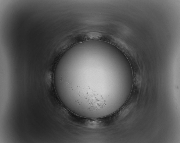 X0000097840321200803201523