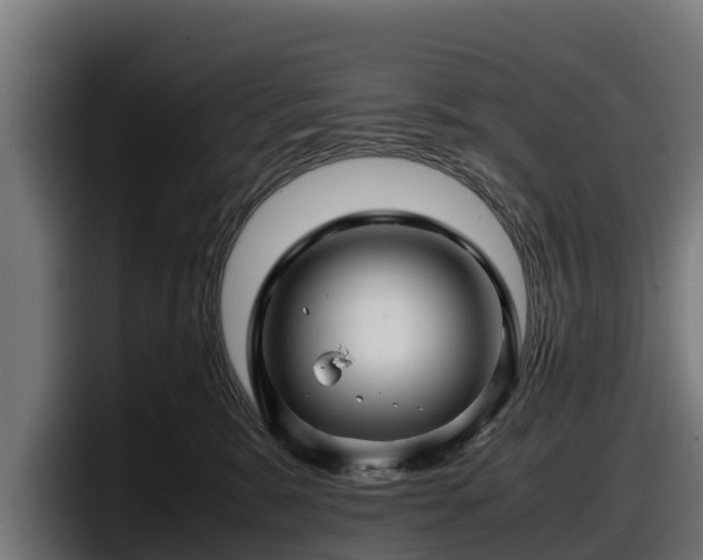 X0000097840327200803201523
