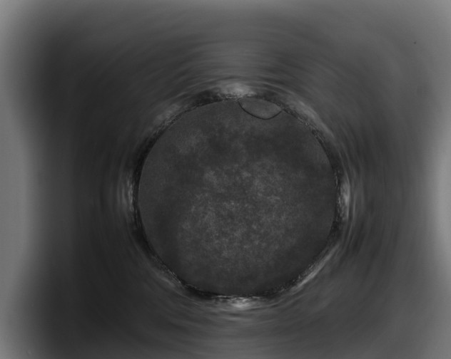 X0000097840330200803201523