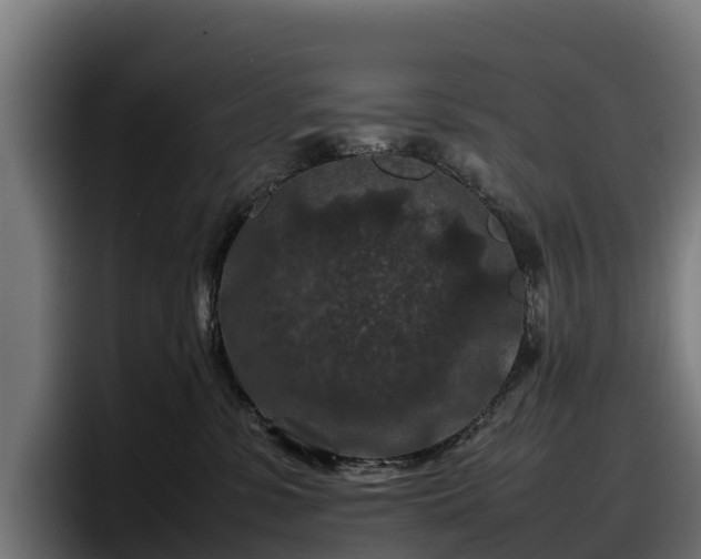X0000097840331200803201523