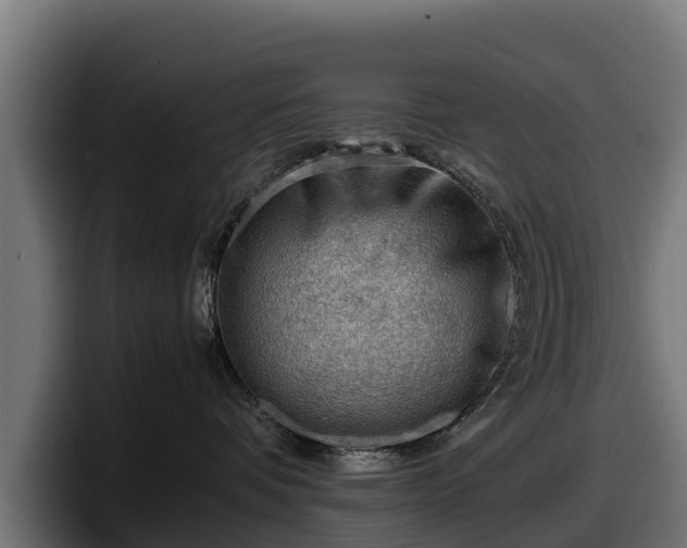 X0000097840336200803201523