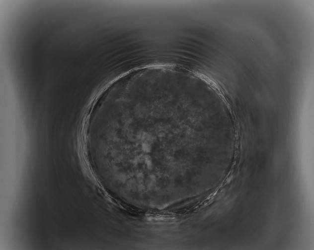 X0000097840337200803201522