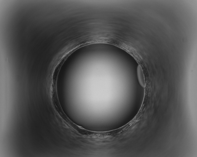 X0000097840338200803201522