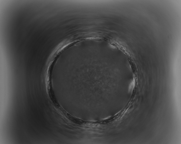 X0000097840339200803201522