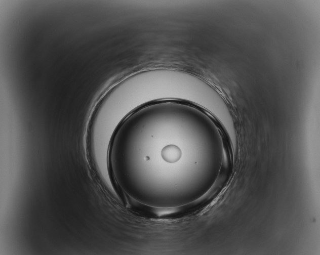 X0000097840340200803201522