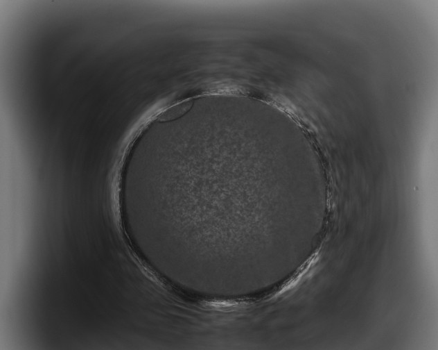 X0000097840341200803201522