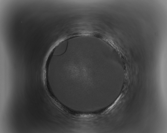 X0000097840342200803201522
