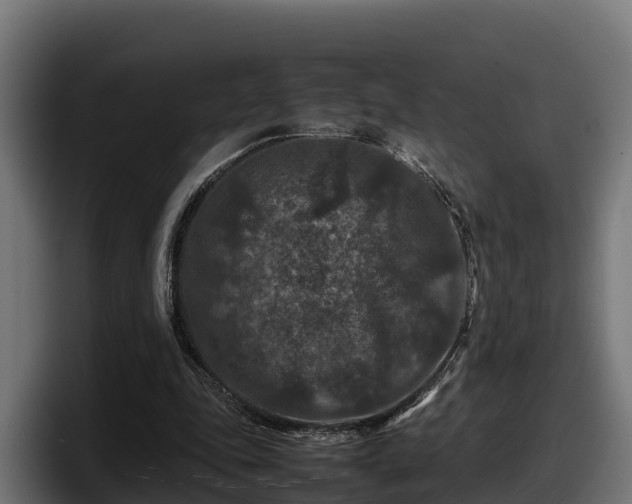 X0000097840343200803201522