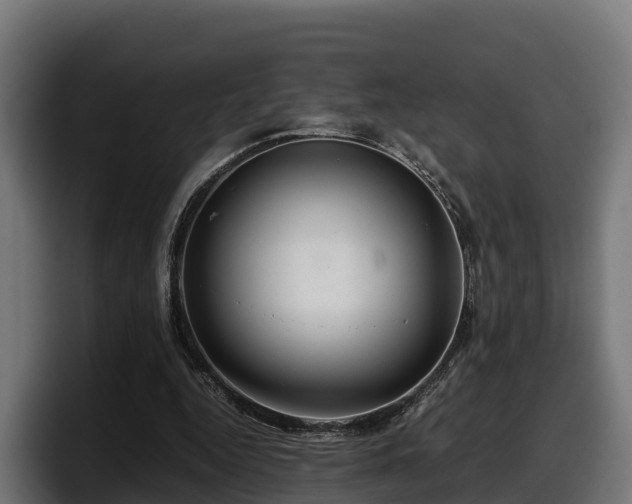 X0000097840344200803201522