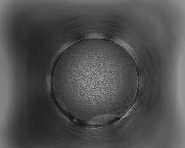 X0000097840345200803201522