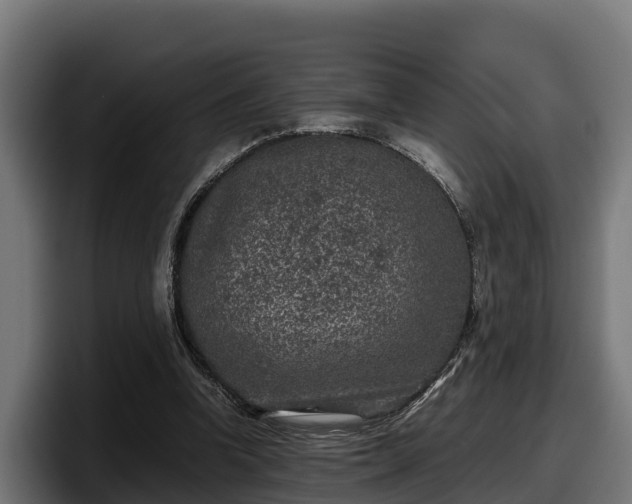 X0000097840346200803201522