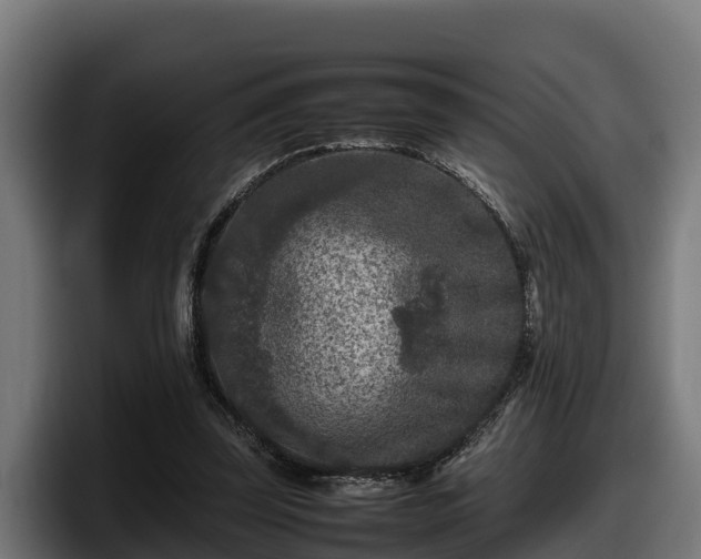 X0000097840347200803201522