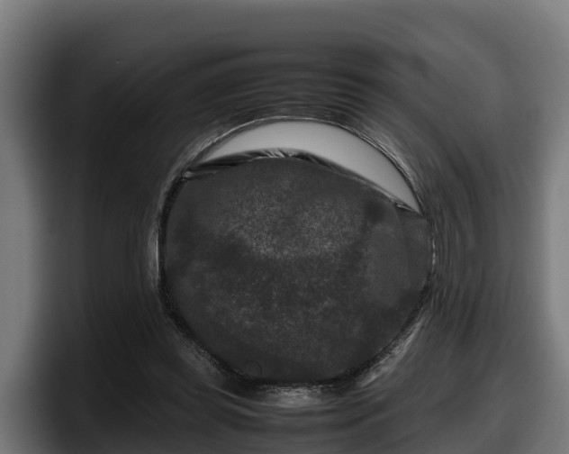 X0000097840349200803201522