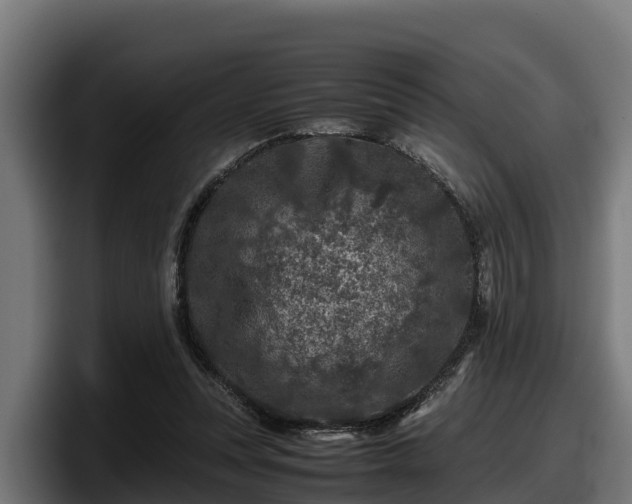 X0000097840351200803201522