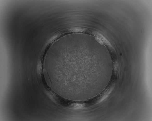 X0000097840352200803201522