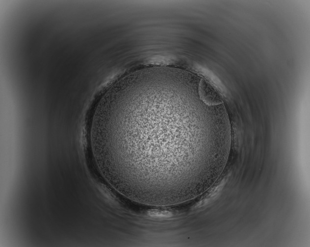 X0000097840354200803201522