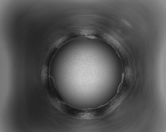 X0000097840356200803201522