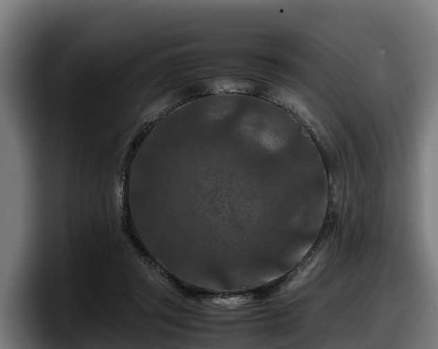 X0000097840357200803201522