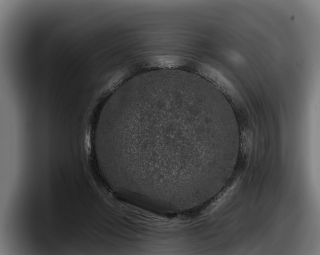 X0000097840358200803201522
