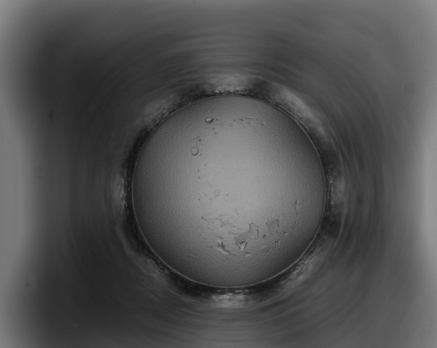 X0000097840362200803201522