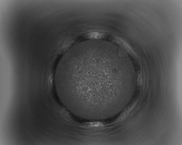 X0000097840363200803201522
