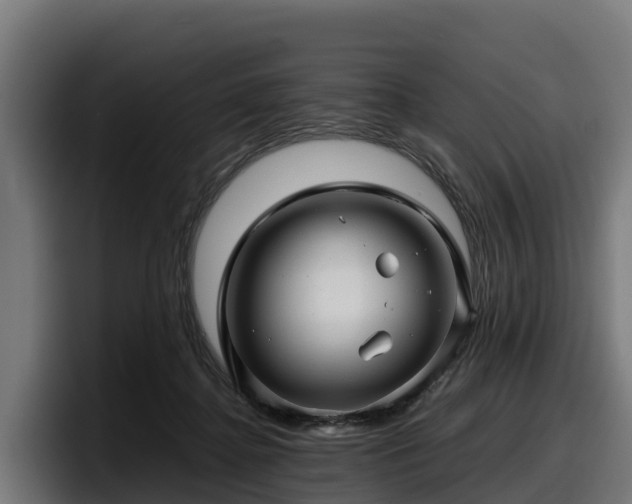 X0000097840364200803201522