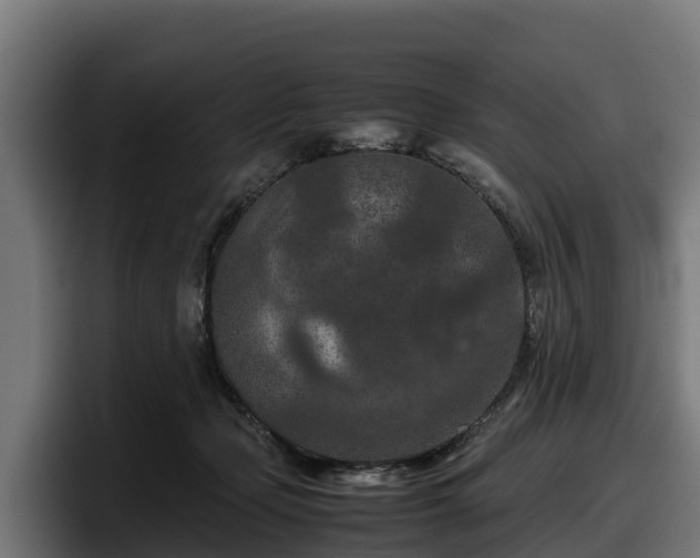 X0000097840365200803201522