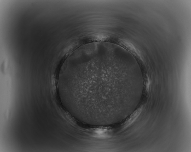 X0000097840366200803201522