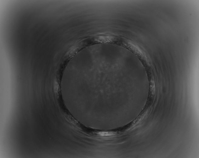 X0000097840371200803201523