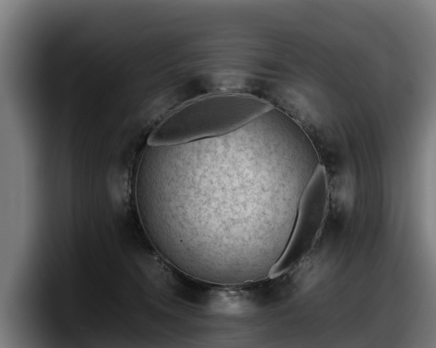 X0000097840372200803201523