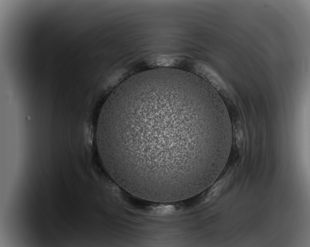 X0000097840374200803201523