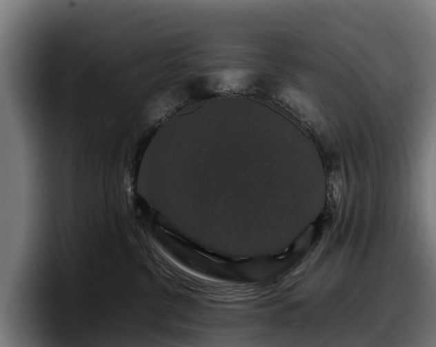 X0000097840380200803201523