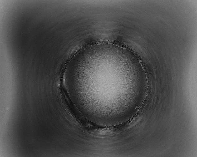 X0000097840384200803201523