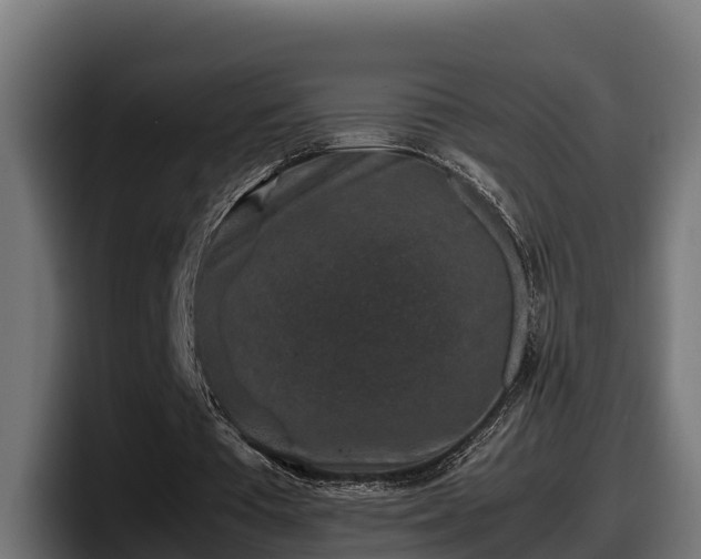 X0000097840385200803201522
