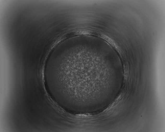 X0000097840386200803201522