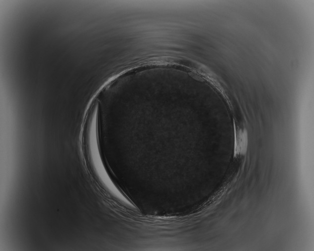 X0000097840387200803201522