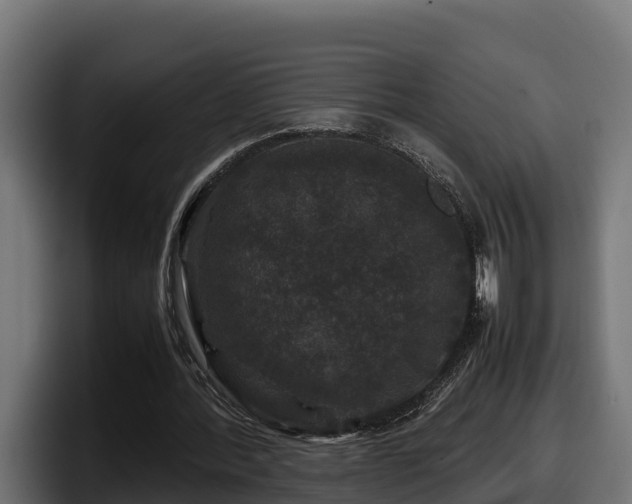 X0000097840388200803201522