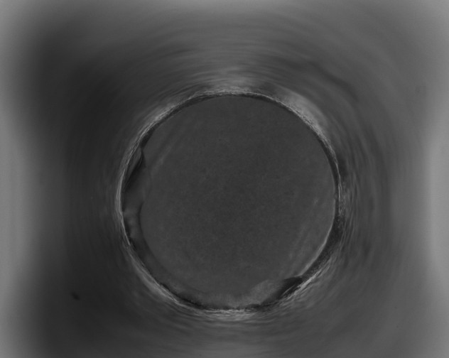 X0000097840389200803201522