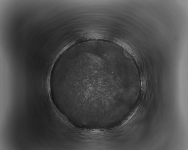 X0000097840390200803201522