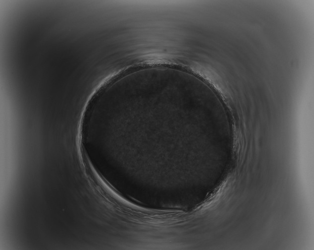 X0000097840391200803201522