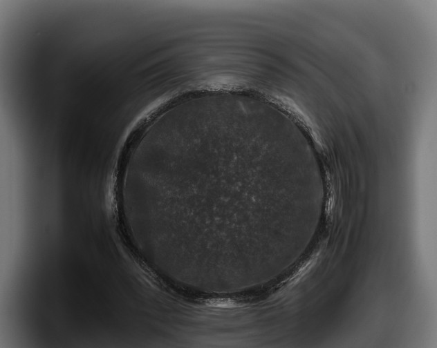 X0000097840392200803201522