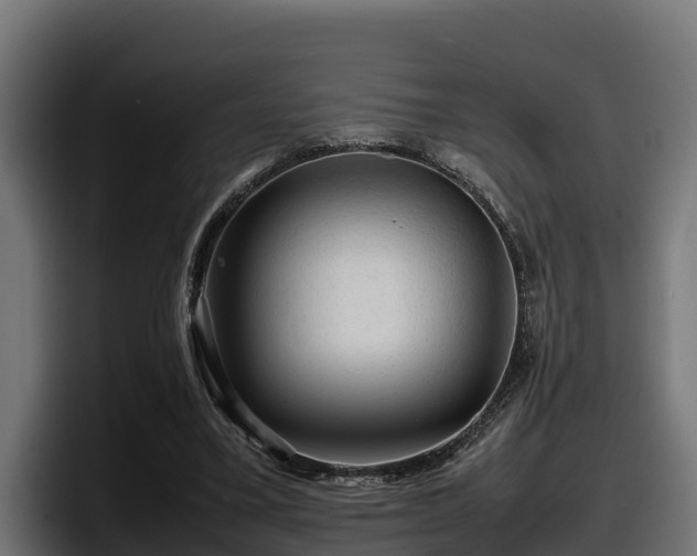 X0000097840395200803201522