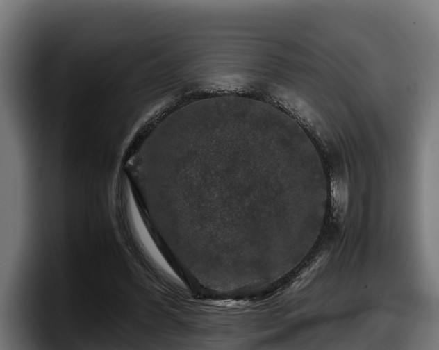 X0000097840396200803201522
