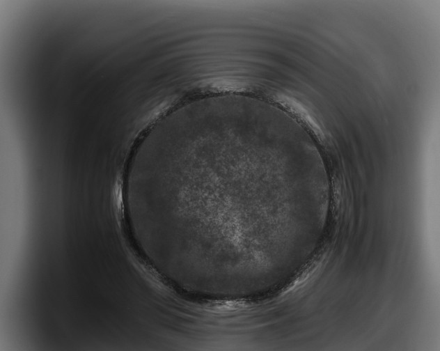 X0000097840398200803201522