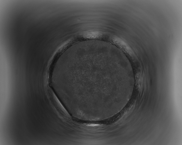 X0000097840400200803201522
